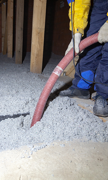 Cellulose soufflée biosourcée